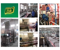 Baisen Group-Babao porridge production line (500cans/min)