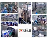 Dongpeng Group-Energy drink production line